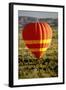 Outback Hot Air Ballooning-null-Framed Photographic Print