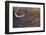 Outback mines aerials.-John Gollings-Framed Photo