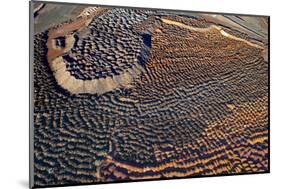 Outback mines aerials.-John Gollings-Mounted Photo