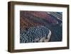 Outback mines aerials.-John Gollings-Framed Photo