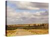 Outback Road, Near White Cliffs, New South Wales, Australia-Jochen Schlenker-Stretched Canvas