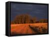 Outback Road, Wentworth, New South Wales, Australia-Jochen Schlenker-Framed Stretched Canvas