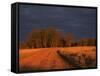 Outback Road, Wentworth, New South Wales, Australia-Jochen Schlenker-Framed Stretched Canvas