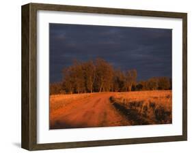 Outback Road, Wentworth, New South Wales, Australia-Jochen Schlenker-Framed Photographic Print