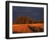 Outback Road, Wentworth, New South Wales, Australia-Jochen Schlenker-Framed Photographic Print