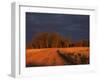 Outback Road, Wentworth, New South Wales, Australia-Jochen Schlenker-Framed Photographic Print