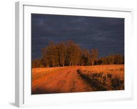 Outback Road, Wentworth, New South Wales, Australia-Jochen Schlenker-Framed Photographic Print