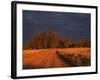 Outback Road, Wentworth, New South Wales, Australia-Jochen Schlenker-Framed Photographic Print