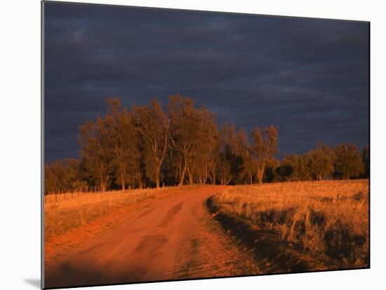 Outback Road, Wentworth, New South Wales, Australia-Jochen Schlenker-Mounted Photographic Print