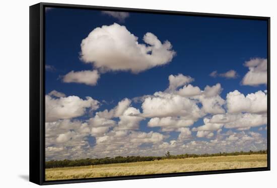 Outback Scenery, Queensland, Australia, Pacific-Jochen Schlenker-Framed Stretched Canvas