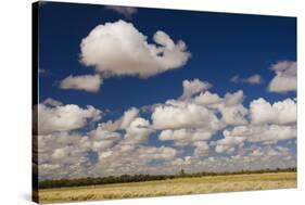 Outback Scenery, Queensland, Australia, Pacific-Jochen Schlenker-Stretched Canvas