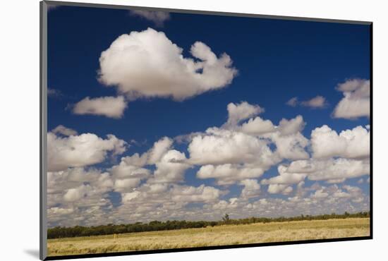 Outback Scenery, Queensland, Australia, Pacific-Jochen Schlenker-Mounted Photographic Print