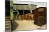 Outbuildings Made Of Corrugated Metal-Fay Godwin-Mounted Giclee Print