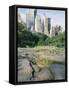 Outcrop of Manhattan Gneiss Which Forms Bedrock for Skyscrapers, Central Park, New York City, USA-Tony Waltham-Framed Stretched Canvas