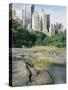 Outcrop of Manhattan Gneiss Which Forms Bedrock for Skyscrapers, Central Park, New York City, USA-Tony Waltham-Stretched Canvas