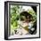 Outdoor Area at Luxury Accommodation Near Ubud on the Island of Bali, Indonesia, Southeast Asia-Matthew Williams-Ellis-Framed Photographic Print