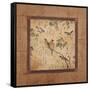 Outdoor Aviary II-Pamela Gladding-Framed Stretched Canvas