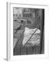 Chelsea White