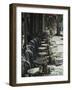 Outdoor Cafe, North Beach, San Francisco, California, USA-Ethel Davies-Framed Photographic Print