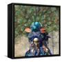 Outdoor Carnival Scenery with Person in Disguise-prill-Framed Stretched Canvas