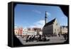 Outdoor Concert in Town Hall Square, Tallin, Estonia, 2011-Sheldon Marshall-Framed Stretched Canvas