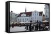 Outdoor Concert in Town Hall Square, Tallin, Estonia, 2011-Sheldon Marshall-Framed Stretched Canvas