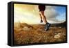 Outdoor Cross-Country Running in Early Sunrise Concept for Exercising, Fitness and Healthy Lifestyl-Flynt-Framed Stretched Canvas