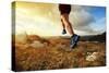 Outdoor Cross-Country Running in Early Sunrise Concept for Exercising, Fitness and Healthy Lifestyl-Flynt-Stretched Canvas