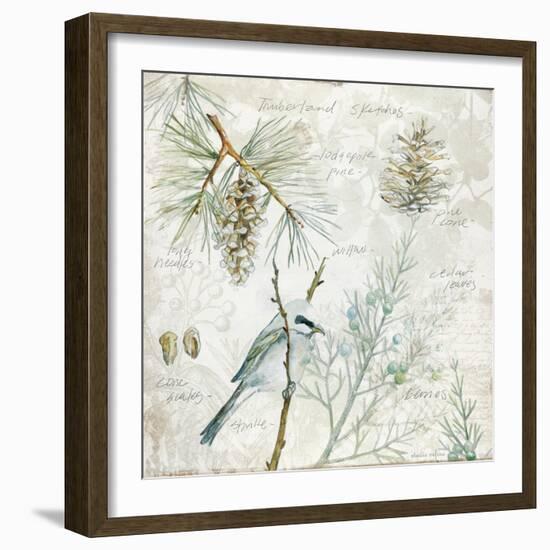 Outdoor Diary 1-Studio Rofino-Framed Art Print