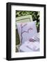 Outdoor furniture, Still life Easter-mauritius images-Framed Photographic Print