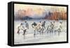 Outdoor Ice Hockey-null-Framed Stretched Canvas