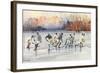 Outdoor Ice Hockey-null-Framed Art Print