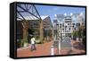 Outdoor Shopping Mall in Britomart Precinct, Auckland, North Island, New Zealand, Pacific-Ian-Framed Stretched Canvas