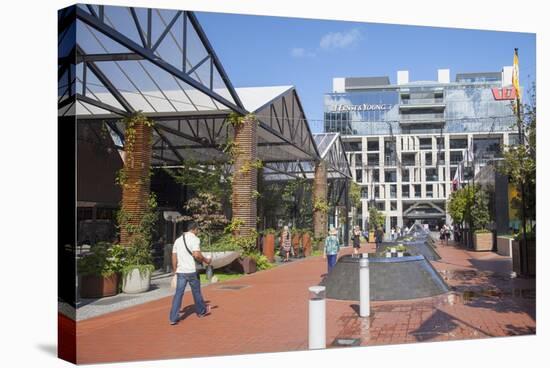 Outdoor Shopping Mall in Britomart Precinct, Auckland, North Island, New Zealand, Pacific-Ian-Stretched Canvas