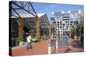 Outdoor Shopping Mall in Britomart Precinct, Auckland, North Island, New Zealand, Pacific-Ian-Stretched Canvas