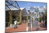 Outdoor Shopping Mall in Britomart Precinct, Auckland, North Island, New Zealand, Pacific-Ian-Mounted Photographic Print