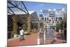 Outdoor Shopping Mall in Britomart Precinct, Auckland, North Island, New Zealand, Pacific-Ian-Mounted Photographic Print