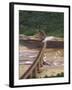 Outeniqua Choo Tjoe Train Crossing the Kaimans River Bridge, South Africa, Africa-Amanda Hall-Framed Photographic Print