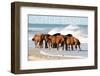 Outer Banks, North Carolina - Horses on Beach - Lantern Press Photography-Lantern Press-Framed Photographic Print