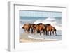 Outer Banks, North Carolina - Horses on Beach - Lantern Press Photography-Lantern Press-Framed Photographic Print