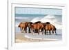 Outer Banks, North Carolina - Horses on Beach - Lantern Press Photography-Lantern Press-Framed Photographic Print