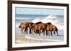 Outer Banks, North Carolina - Horses on Beach - Lantern Press Photography-Lantern Press-Framed Photographic Print