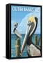 Outer Banks, North Carolina - Pelicans-Lantern Press-Framed Stretched Canvas