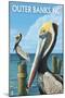 Outer Banks, North Carolina - Pelicans-Lantern Press-Mounted Art Print