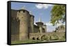 Outer Walls of the Old City, Carcassonne, UNESCO World Heritage Site, Languedoc, France, Europe-Tony Waltham-Framed Stretched Canvas