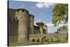 Outer Walls of the Old City, Carcassonne, UNESCO World Heritage Site, Languedoc, France, Europe-Tony Waltham-Stretched Canvas