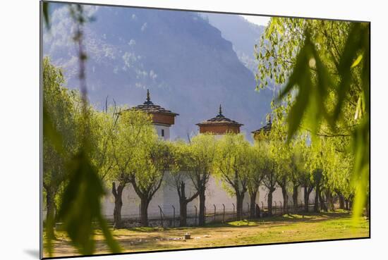 Outer Walls of the Tsechu of Paro, Bhutan-Michael Runkel-Mounted Photographic Print