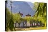 Outer Walls of the Tsechu of Paro, Bhutan-Michael Runkel-Stretched Canvas