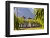 Outer Walls of the Tsechu of Paro, Bhutan-Michael Runkel-Framed Photographic Print