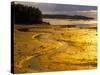 Outgoing Tide at Sunset on Campobello Island, New Brunswick, Canada-Julie Eggers-Stretched Canvas